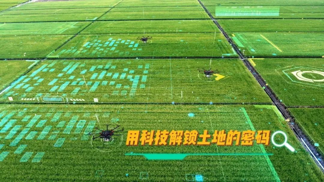 【大国粮策】“锄禾日当午”遇上“代码田间舞”！南农AI农场主带你“云”种地