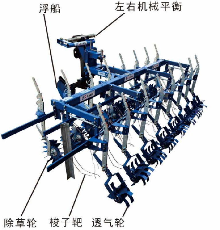 【视频】会“导航”能“输氧”，水田来了“除草高手”