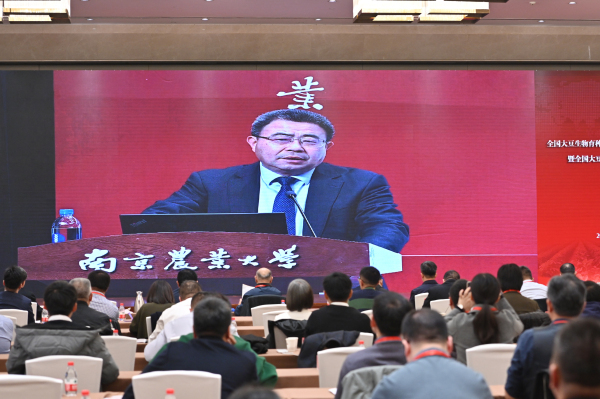 点击《DSC_2954》查看详情