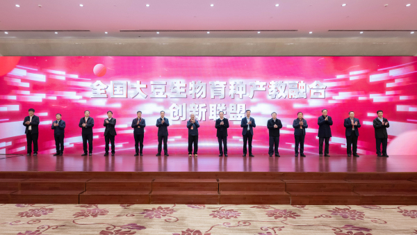 点击《启动仪式》查看详情