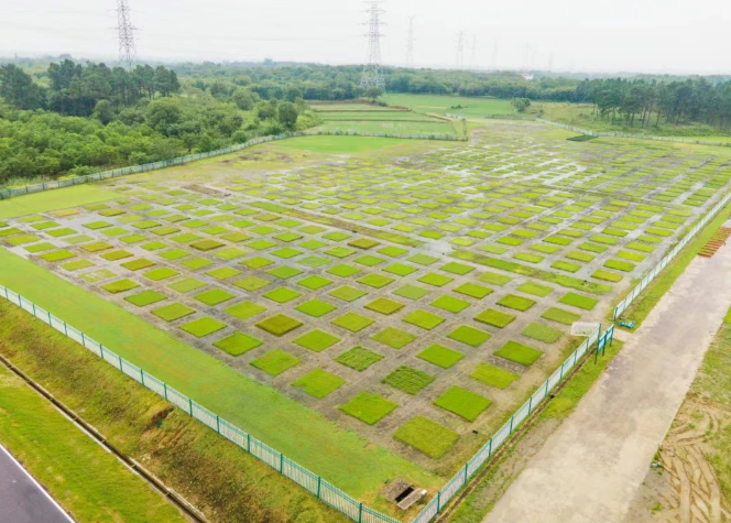 被种草了！苏超刷“坪”背后的宝藏专业