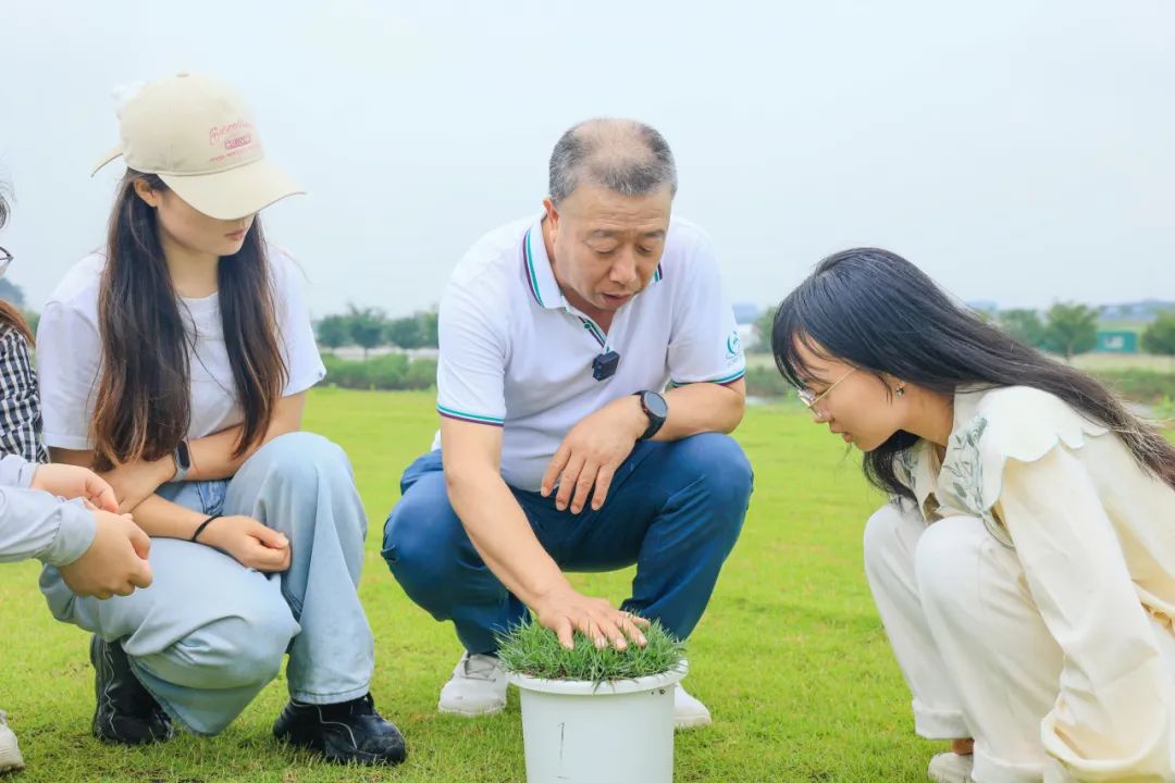被种草了！苏超刷“坪”背后的宝藏专业